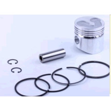 Поршень м/б 180N (9Hp) .STD (Ø80,00) (с выборкой под клапана) WENTOR