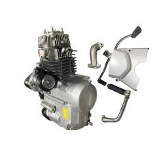 Двигатель Alpha/Delta/Active 125 автомат TMMP ZV