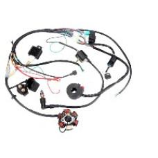 Проводка ATV 50/110 (в сборе) FLD