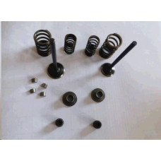 Клапаны (пара, в сборе) Honda 4T SH 125/150 MIS