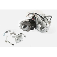 Двигатель Delta, Activ 110cc (МКПП 152FMH-A) TZH