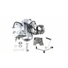 Двигатель Delta, Alpha 100cc (AКПП 150FMG) TZH