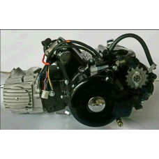 Двигатель Delta, Activ 110cc (АКПП 152FMH) (чёрный) EVO