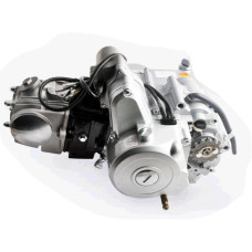 Двигатель Delta 125cc (МКПП 157FMH) (TM) EVO